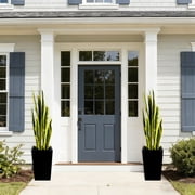 Artificial Snake Plant in Black Planter – Realistic Fake Snake Plant, Evergreen Faux Plant for Living Room Bedroom Entryway