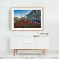 thumbnail image 5 of Tulips 02 - Baltimore Maryland Photography Oak Framed Wall Art Print 20 x 30 inches, 5 of 6
