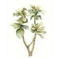 thumbnail image 3 of Meagher, Megan 12x14 Black Modern Framed Museum Art Print Titled - Tropical Watercolor Leaves III, 3 of 5