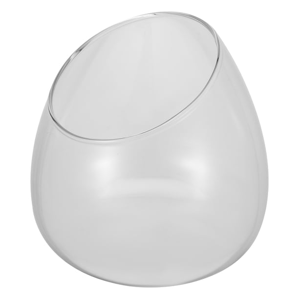 1 Florero de vidrio para microterrario/florero ecológico, botella para plantas suculentas, recipiente de vidrio para flores (transparente)