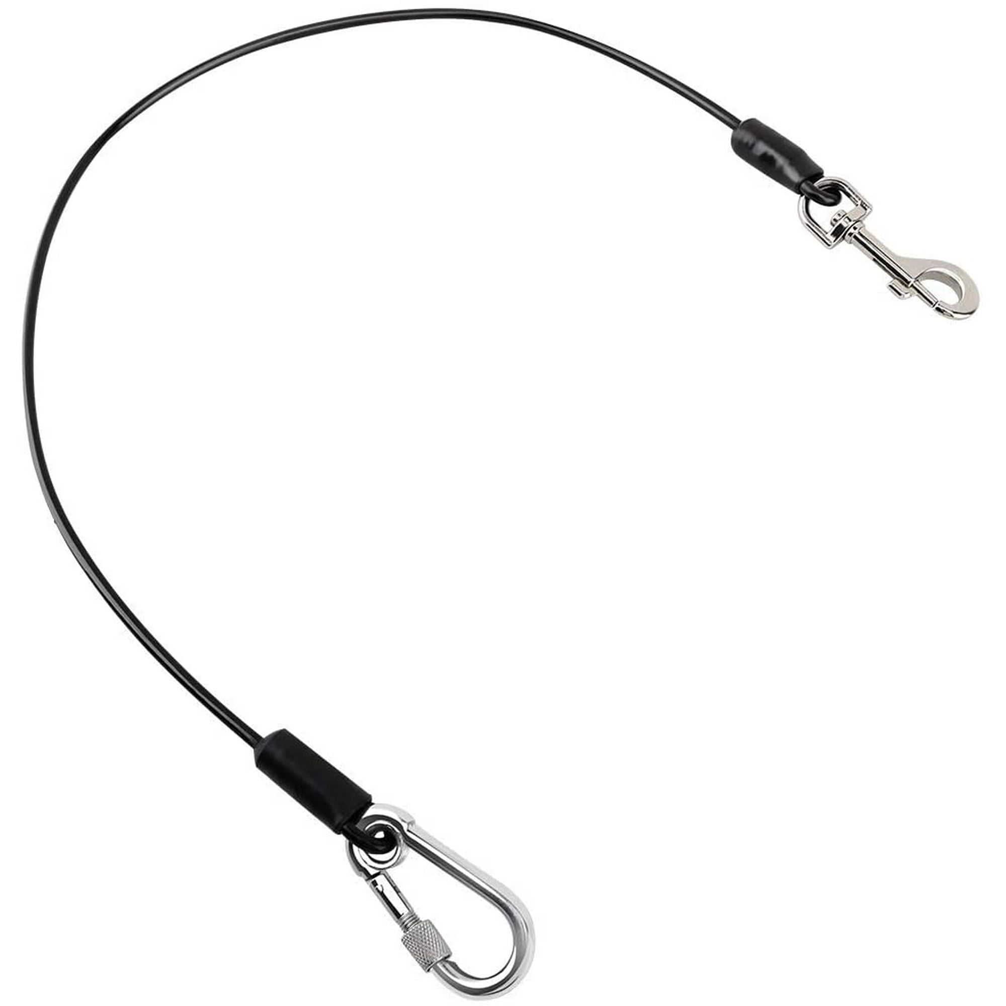 Why Did My Dog Jump Out Of The Car Window