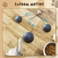 Interactive Cat Ball Toy, 2024 New Automatic Moving Dog Cat Balls