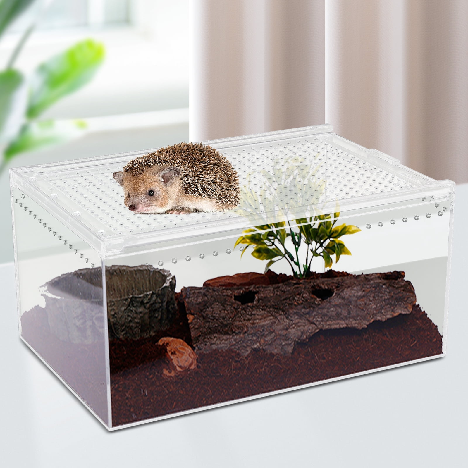 Buy Reptile Feeding Box Portable Small Snake Terrarium Habitat Mini Pet