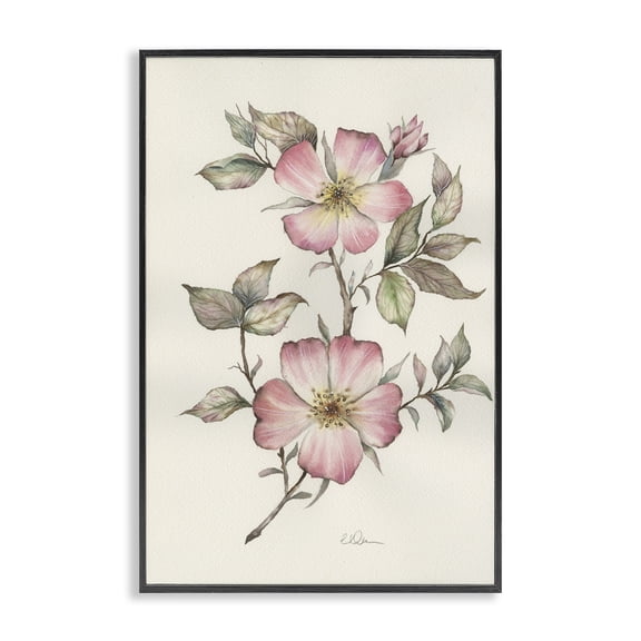 Stupell Industries Two Flowers Natural Study Black Framed Giclee Art, design by Cady Driver