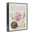 thumbnail image 3 of Stupell Industries Cottage Antique Study Page Black Framed Giclee Art, 11 x 14, by Joris Hoefnagel, 3 of 8
