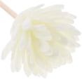 thumbnail image 3 of 30pcs Dry Flower Rattan Sticks Essential Oil Aroma Diffuser Home Decor, 3 of 8