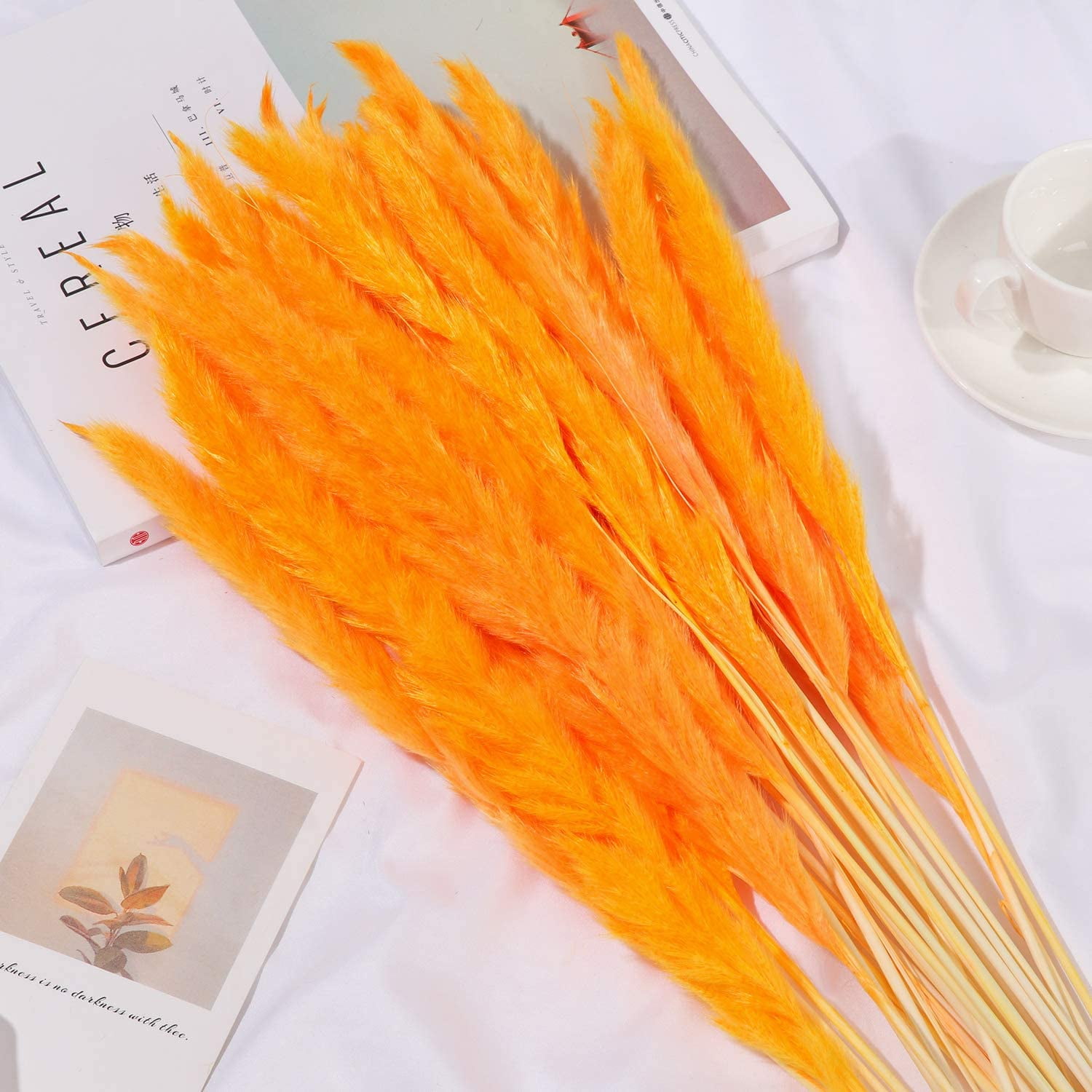Xelparuc 30pcs Dried Flowers Natural Dried Pampas Grass Reed Plant with Box Real Flowers Romantic Wedding Flower Bulrush Bouquets Flavorful Durable for DIY Home Decor Matching Photography