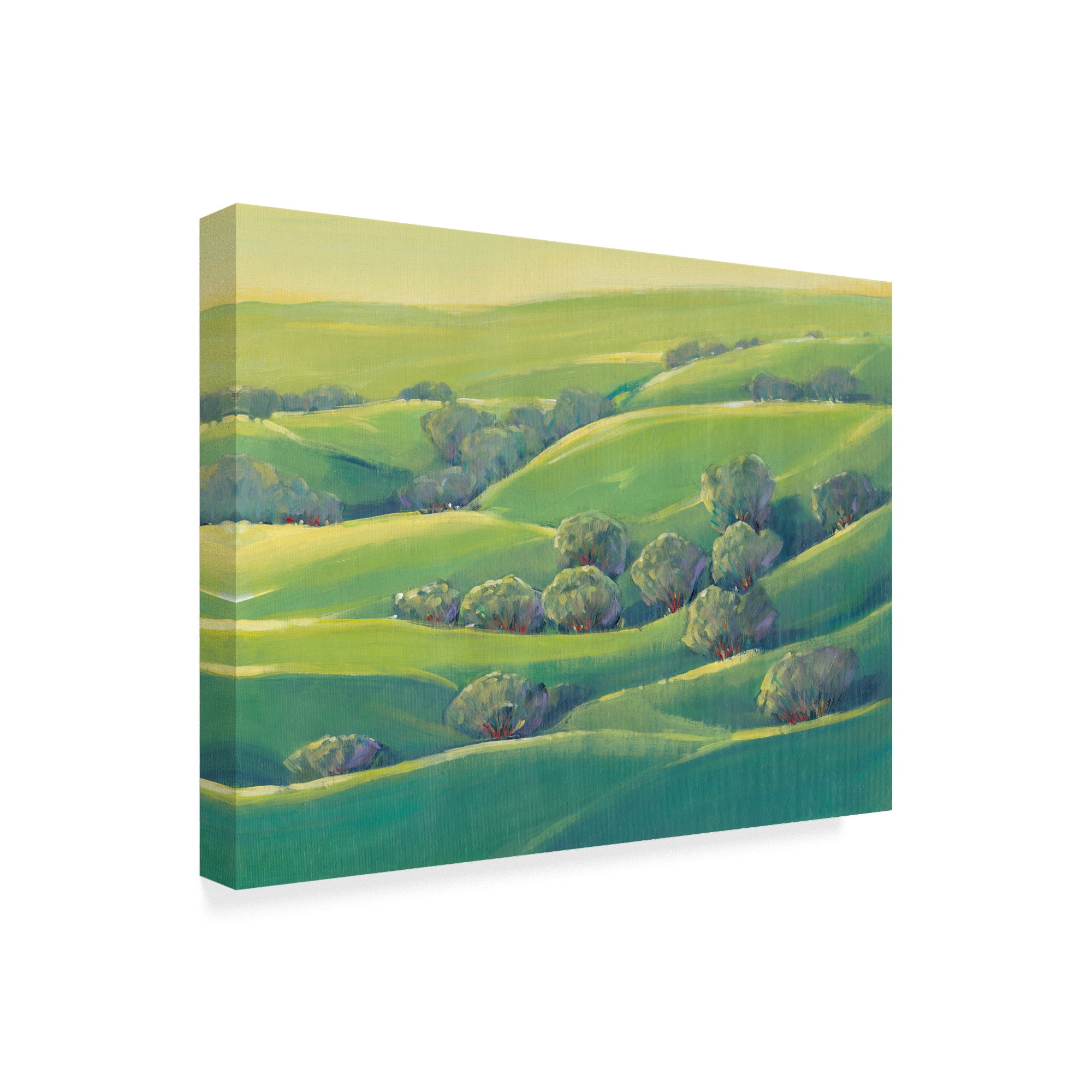 Trademark Fine Art 'Hillside View I' Canvas Art by Tim OToole