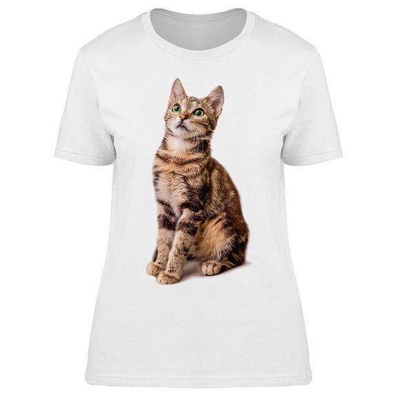 Grey Striped Cute Cat Sitting T-Shirt Women -Image by Shutterstock, Female Large