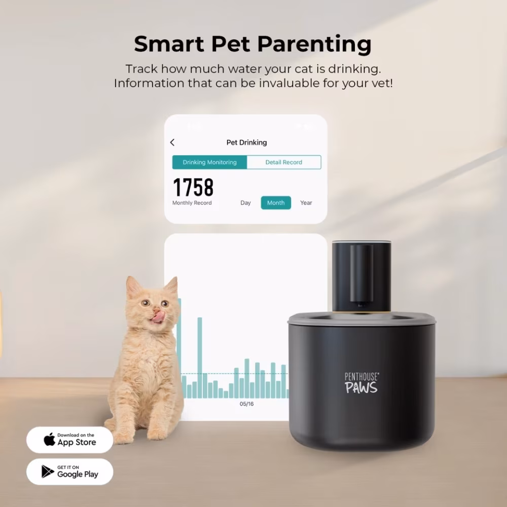 thumbnail image 4 of Penthouse Paws Smart Wireless Water Fountain, 3.5L, App-Controlled, Ultra-Quiet, Motion Sensor, 45-Day Battery Life, 5-Level UV Filtration, Portable Pet Drinking Fountain, for Cat & Dog, Black, 4 of 13