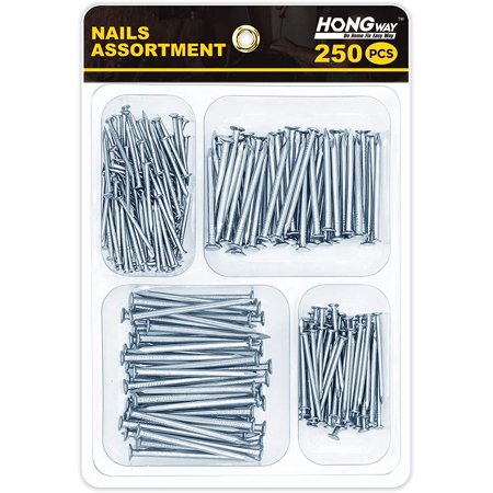 Hardware Nails Assortment Kit 250pcs, Common Nails, Finish Nails ...