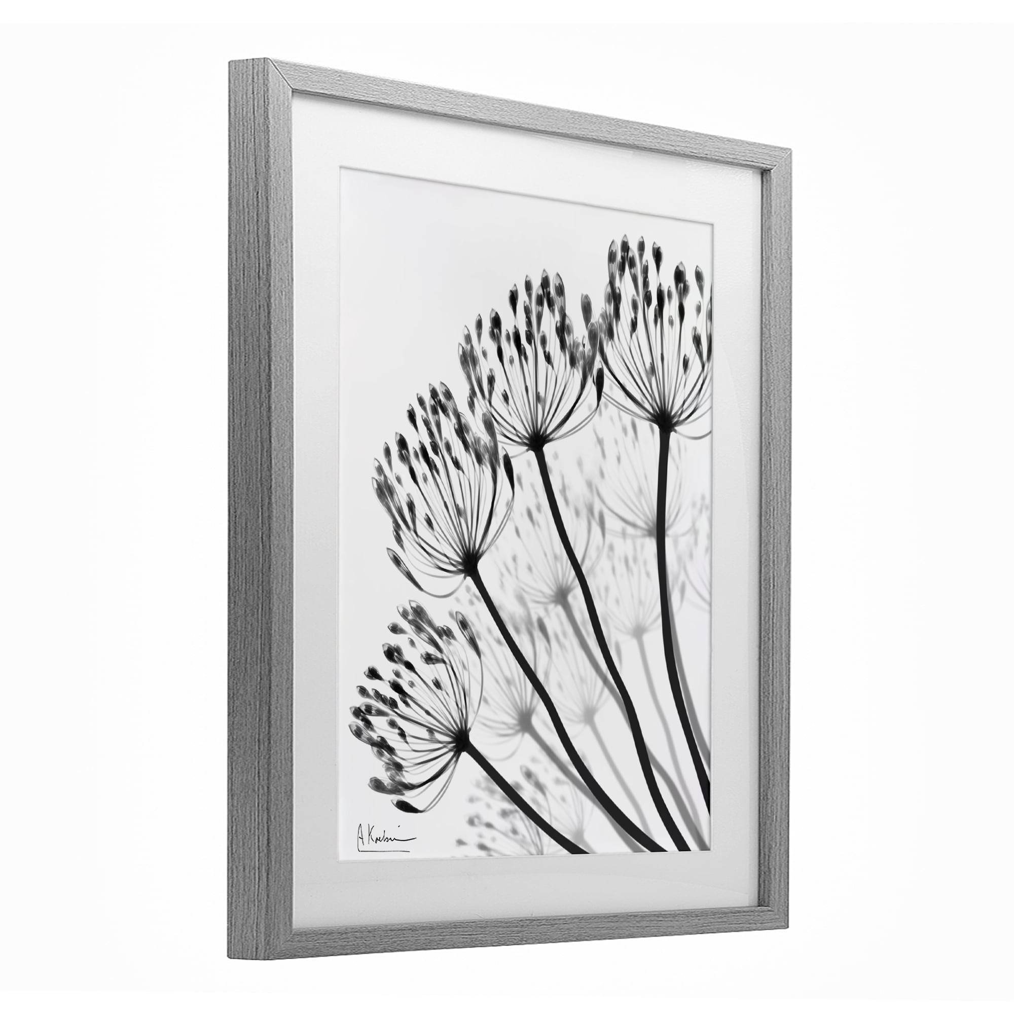 Stupell Industries Floral Fan Dandelions Gray Framed Print Under Glass, design by Albert Koetsier