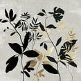 thumbnail image 3 of Jensen, Asia 20x20 Black Modern Framed Museum Art Print Titled - Botanical Gold II, 3 of 5