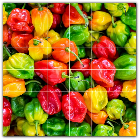 Picture-Tiles.com: Fruit Ceramic Tile Wall Mural WAL500687-66S. 25.5"W x 25.5"H using (36) 4.25" x 4.25" Ceramic Tiles-Satin Finish