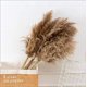 thumbnail image 3 of 10 piezas de hierba de pampa, 60 cm, caña natural, flores secas, jarrones de flores secas, decoración, ramo grande seco, hierba, ramo de ceremonia de flores de boda, 3 of 5