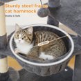 thumbnail image 3 of PAWZ Road 36" Cat Tree for Indoor Cats with Cat Condo Scratch Posts Cozy Hammock and Scratch Ladder, Dark Gray, 3 of 10