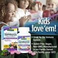 thumbnail image 6 of Nature’s Answer Kids Sambucus Black Elderberry Chewables, Vitamin C & Zinc Immune Support, Great Tasting Berry, 45 Count, 6 of 6