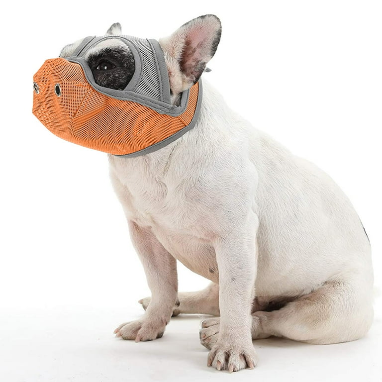 Full face dog muzzle cheap