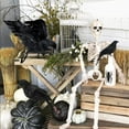 thumbnail image 4 of Konghyp 5Pcs Simulation Crow Decoration, Realistic Halloween Props, Garden Ornament, Photography Accessory, Indoor Outdoor Decor, Crow Figurine, Halloween Party Supplies, 4 of 7