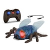 Image thumbnail_image