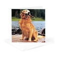thumbnail image 5 of 3drose, Golden Retriever, 12 Greeting Cards with Envelopes, 5 of 7