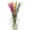 Clear, variant on Large Glass Vase for Flowers, Modern Decorative Table Vase for Home Décor - Red