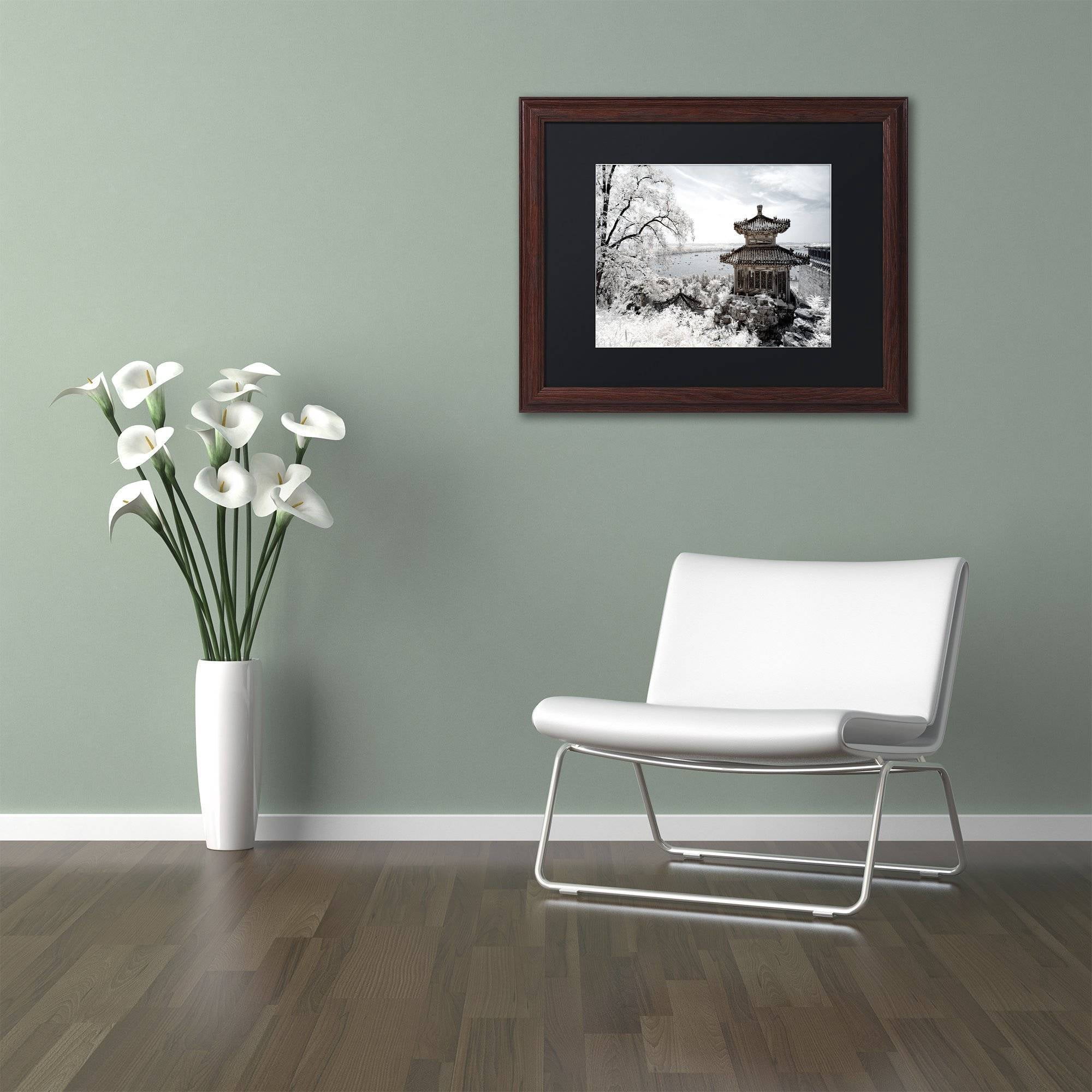 Trademark Fine Art "Silent Day" Canvas Art by Philippe Hugonnard, Black Matte, Wood Frame