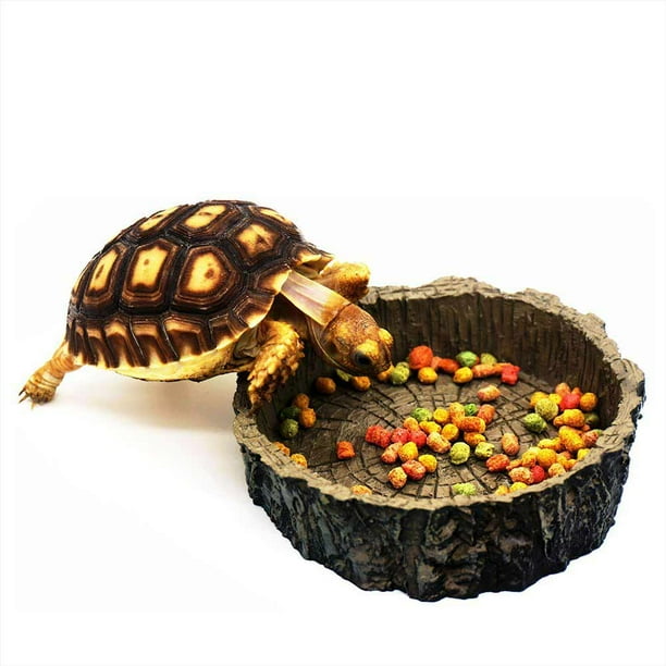 Pet Reptile Water Bowl Pet Lizard Tortoise Water Station Food Bowl For