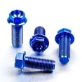 thumbnail image 3 of Titanium Rider Footrest Hanger Bolt Kit (TIRREST250), 3 of 6