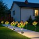 thumbnail image 5 of Lámpara solar para exteriores con 5 tulipanes, resistente al agua, con estaca, decorativa de plástico, para jardín y patio., 5 of 6