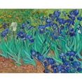 thumbnail image 3 of Van Gogh, Vincent 14x12 Black Modern Framed Museum Art Print Titled - Irises (1889), 3 of 5