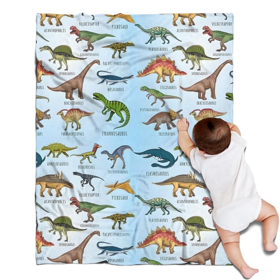 Colorful Dinosaurs Names Labels Pattern Blanket,Comfortable Soft Lamb Wool Throw Blanket,All Season,Warm Lightweight Blankets for Sofa Bed Couch Living Room Chair,30"x40"