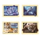 thumbnail image 5 of Animal Resina 5D DIY Diamante Pintura Bordado Punto de Cruz Imagen Decoración de la pared del hogar - L2005 Sweethay JJ13343-01, 5 of 6