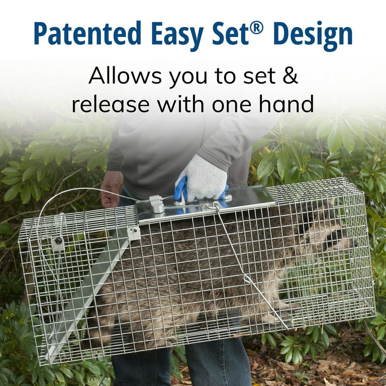 Havahart Easy Set Large Metal 1-Door Wild Animal Trap - Walmart.com