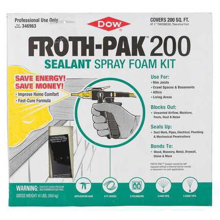 Froth-Pak 346963 Cream Insulating Spray Foam Sealant Kit, 41 (Best Spray Foam Insulation For Homes)