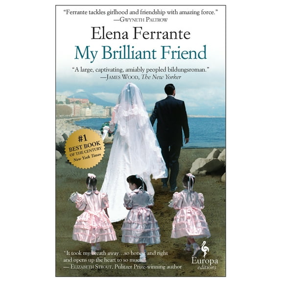 Pre-Owned My Brilliant Friend (Paperback) 1609450787 9781609450786