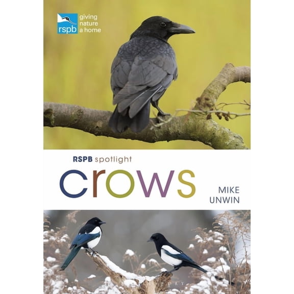 Rspb: Rspb Spotlight Crows (Paperback)