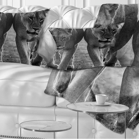Designart Lions in Black and White - Animal Photo Throw Pillow - 12x20