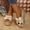 White, variant on Maoxin Womens Sandals Fashion Casual Summer New Solid Color Retro Thick Bottom Open Toe Beach Slippers Ladies Sandals Black 37
