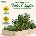 thumbnail image 3 of Greenes Fence Original 48" x 96" x 14" Beige Pine and Wood Raised Garden Kit, 3 of 8