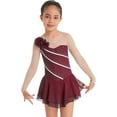 thumbnail image 3 of YEAHDOR Kids Girls Mesh Long Sleeve Chiffon Ballet Leotard Figure Ice Skating Dance Dress, 3 of 7