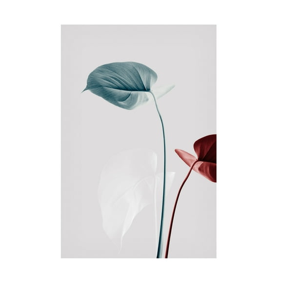 Trademark Fine Art Pictufy Studio Monstera Creative 23 Canvas Wall Art