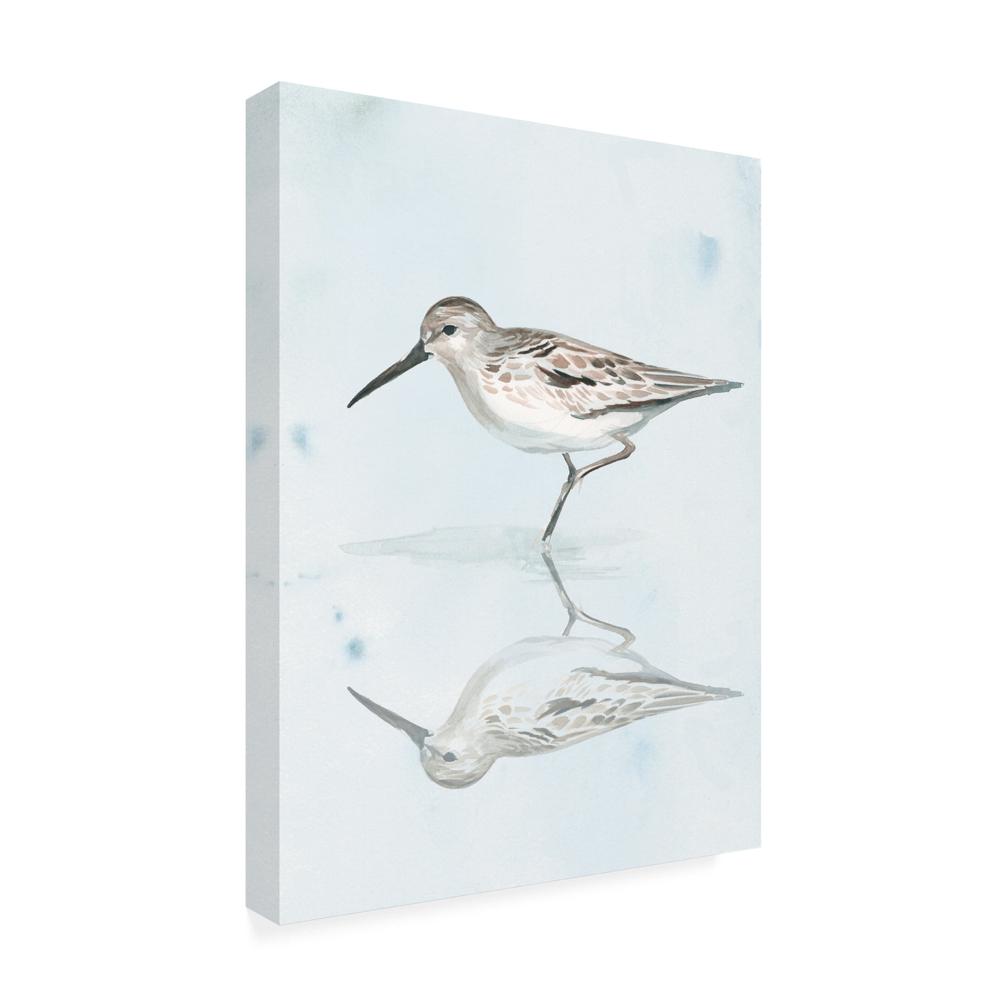 Trademark Fine Art 'Sandpiper Reflections II' Canvas Art by Jennifer Paxton Parker
