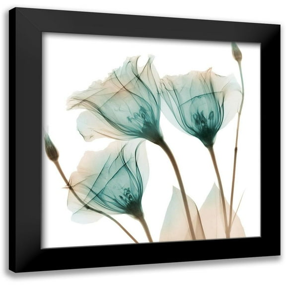 Koetsier, Albert 12x12 Black Modern Framed Museum Art Print Titled - Harvested Love 2