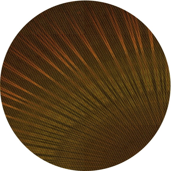Ahgly Company Machine Washable Indoor Round Transitional Dark Bronze Brown Area Rugs, 3' Round