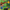 Survive, variant on Minecraft 31" Popsicle Complete Standard Beginner Skateboard with 50mm Wheels for Kids, Green