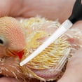 thumbnail image 3 of Comedero gotero para palomas, comedero portátil para destete, chupete para pájaros., 3 of 7