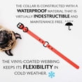 thumbnail image 4 of Regal Dog Products Reflective Waterproof Hunting Collar with Heavy Duty Black Hardware, 4 of 8