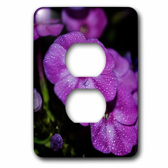 3dRose, Garden Laura Phlox Flowers Dark Pink Flowers, 2 plug outlet cover