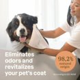thumbnail image 4 of ATTITUDE Furry Friends, Shampoo, Soothing Oatmeal, Unscented, Pet care, Dog Shampoo, 473 mL, 473 mL, 4 of 5